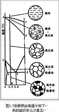 低碳鋼-2.jpg