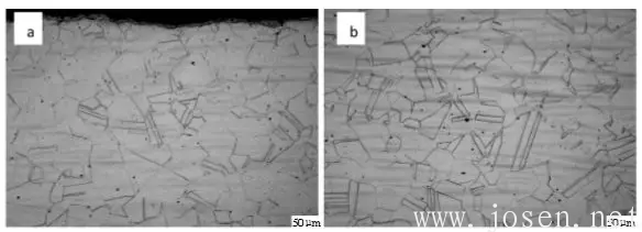 圖6  904L熱軋態(tài)固溶處理后顯微組織（a，邊部；b，心部）.png
